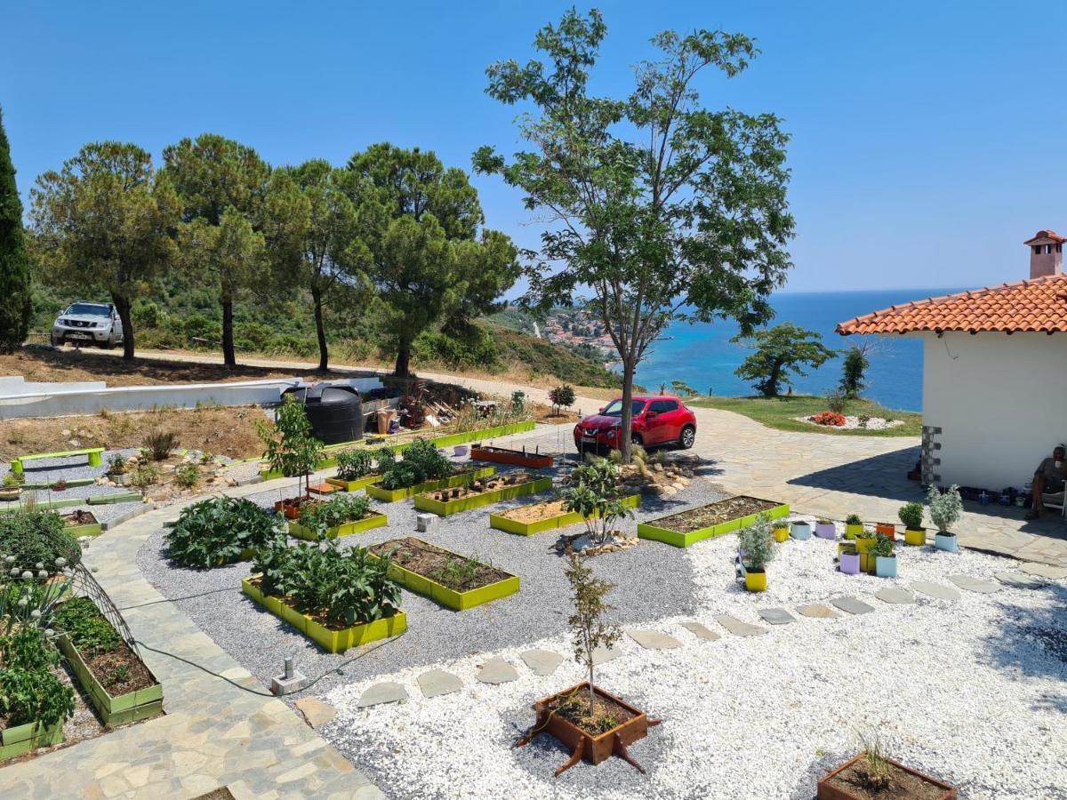 Greco Paradise Suites - Adult Only Неа-Скиони Экстерьер фото